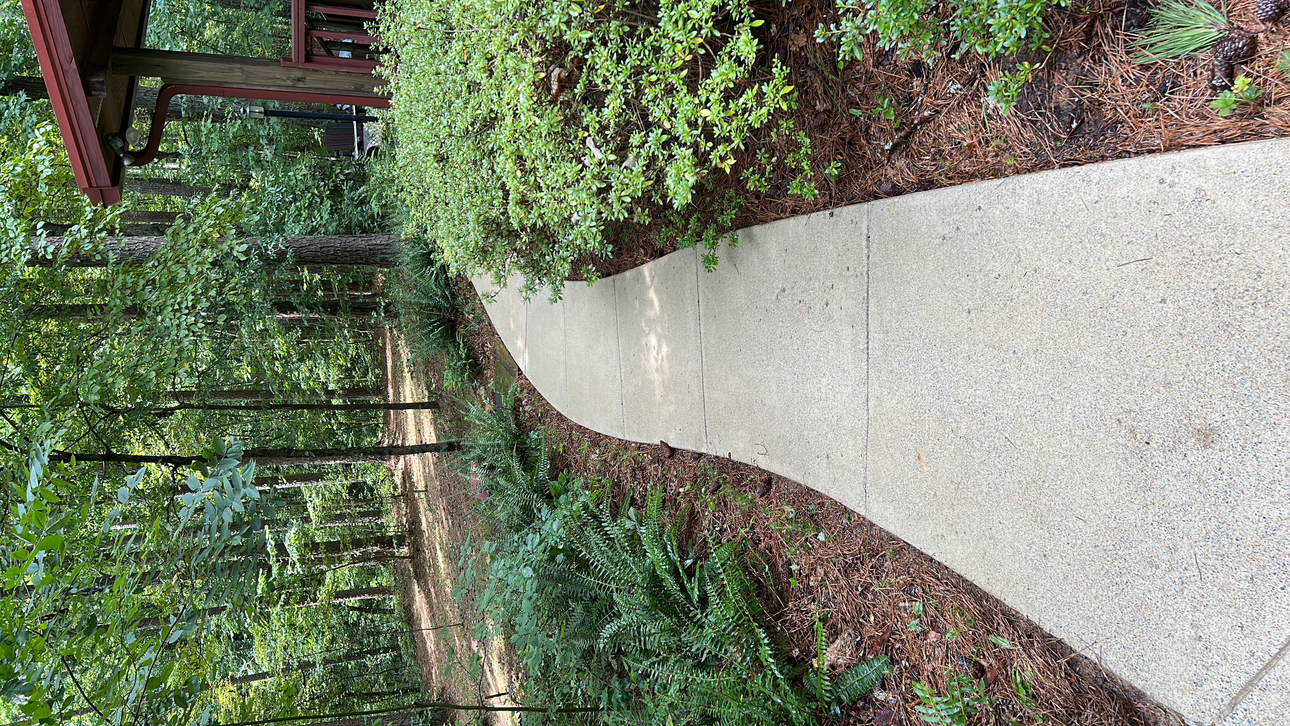 Pressure Washing the Dirtiest Walkway in Dallas, Georgia Thumbnail